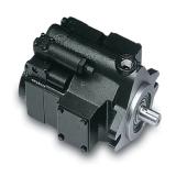 PAKER PAV6.3 Piston Pump